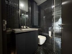 Skysuites@Anson (D2), Apartment #545301661